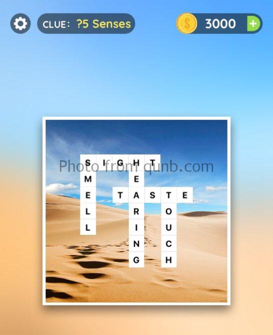 Word slices 5 senses answers Qunb