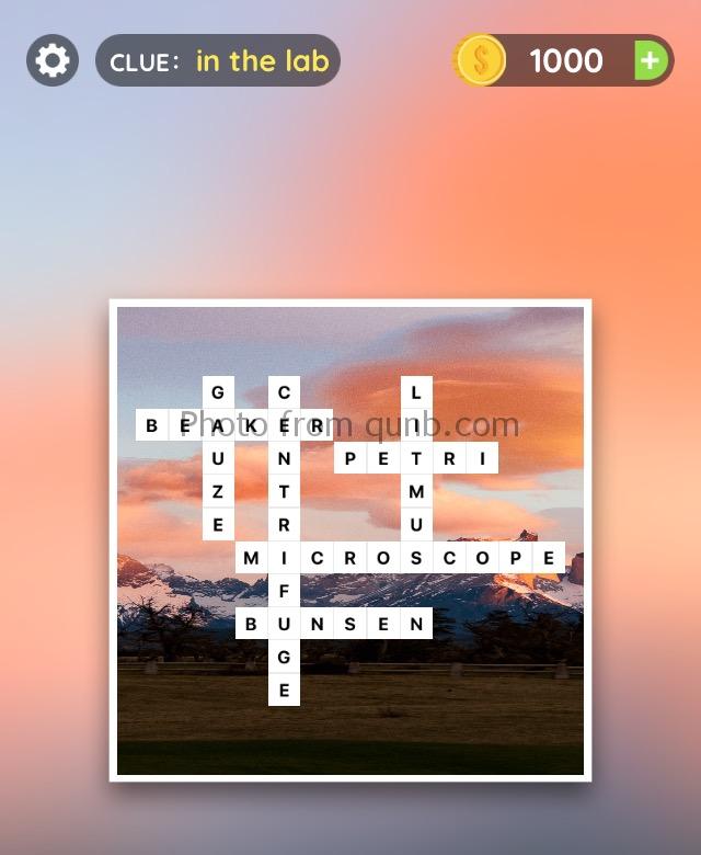 Word slices in the lab answers Qunb