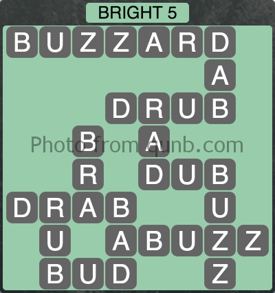 level1141 bright5
