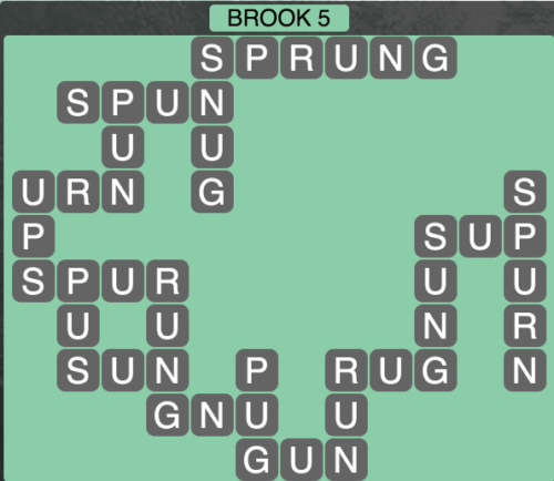 level1493 brook5