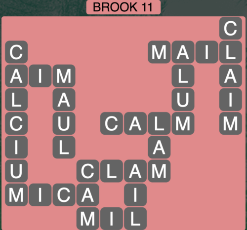 level1499 brook11