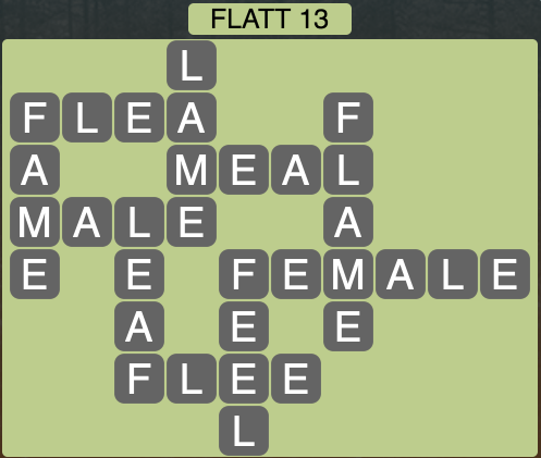 level1533 flatt13