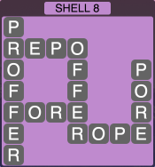 level2024 shell8
