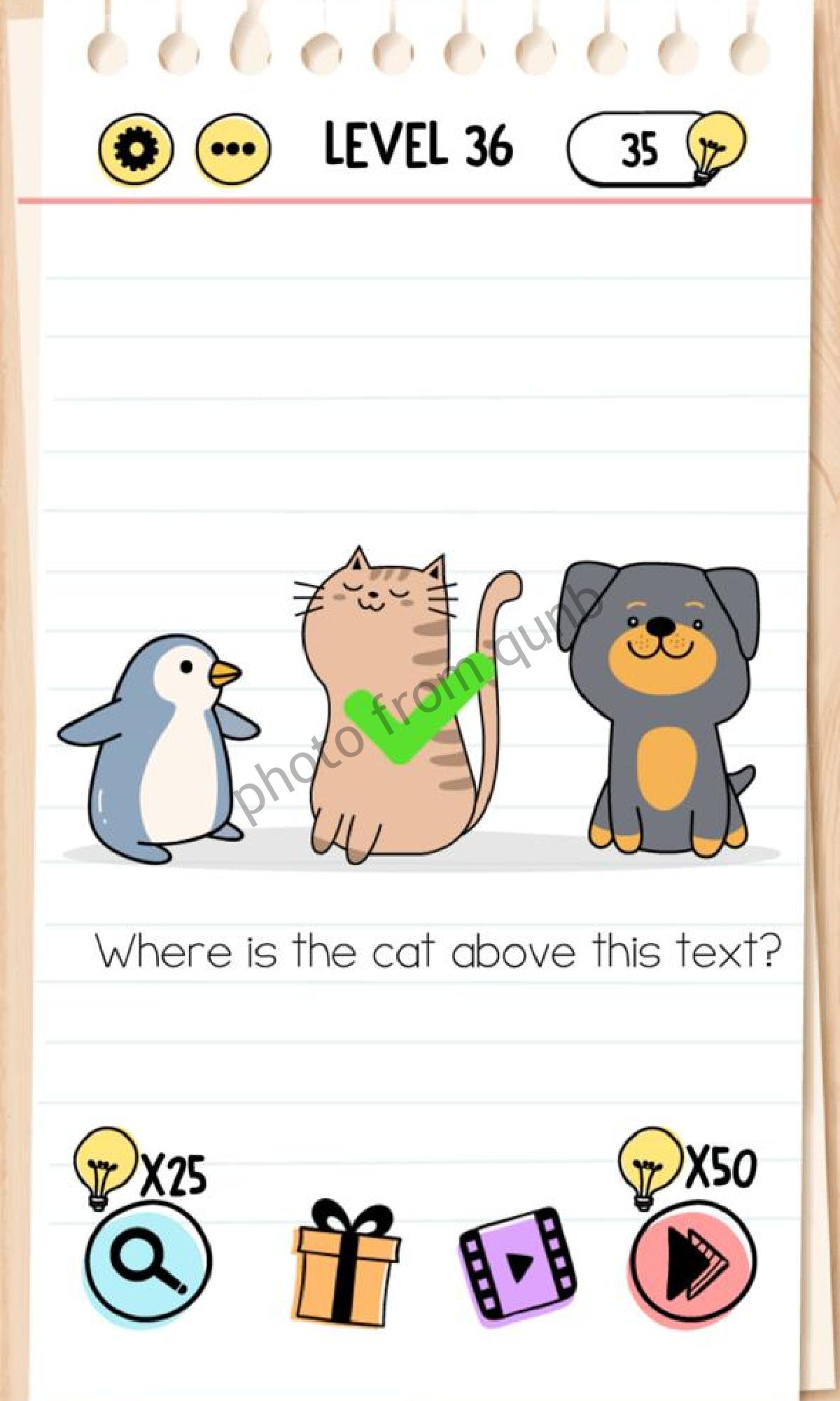 Brain Test Level 36 Where is the cat above this text Answers Solutions