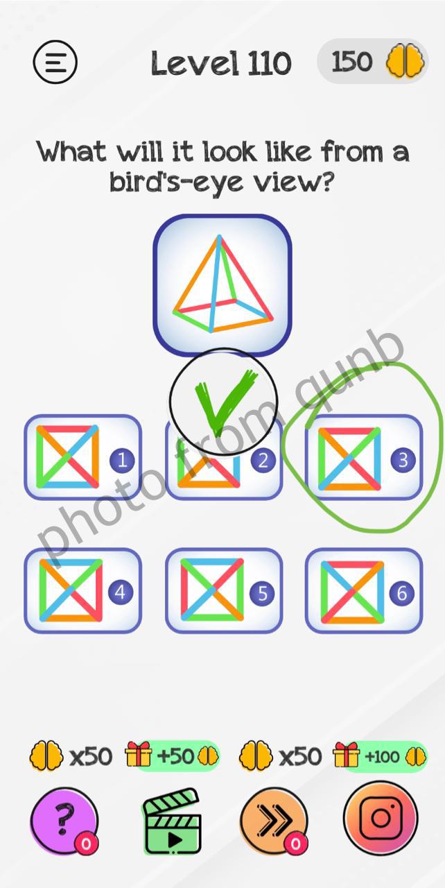 Braindom Level 110 What will it look like from a bird'seye view