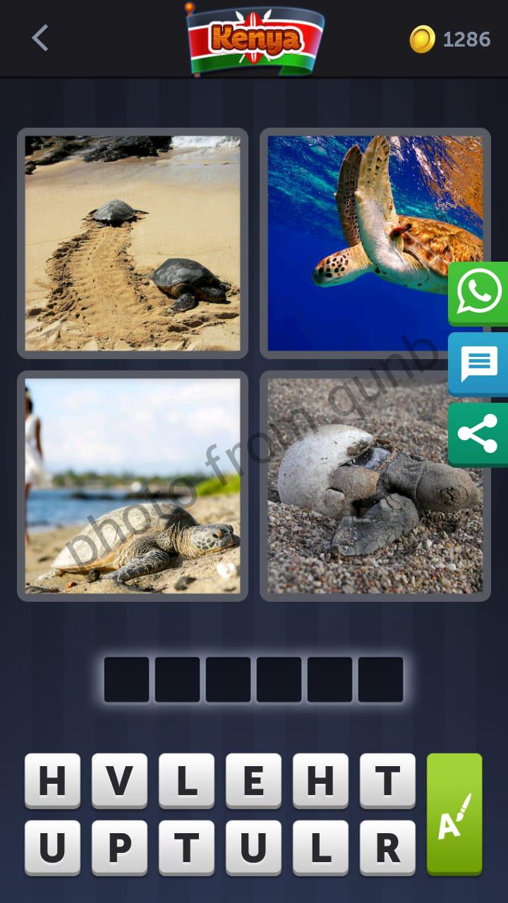 4 Pics 1 Word September 5 Qunb