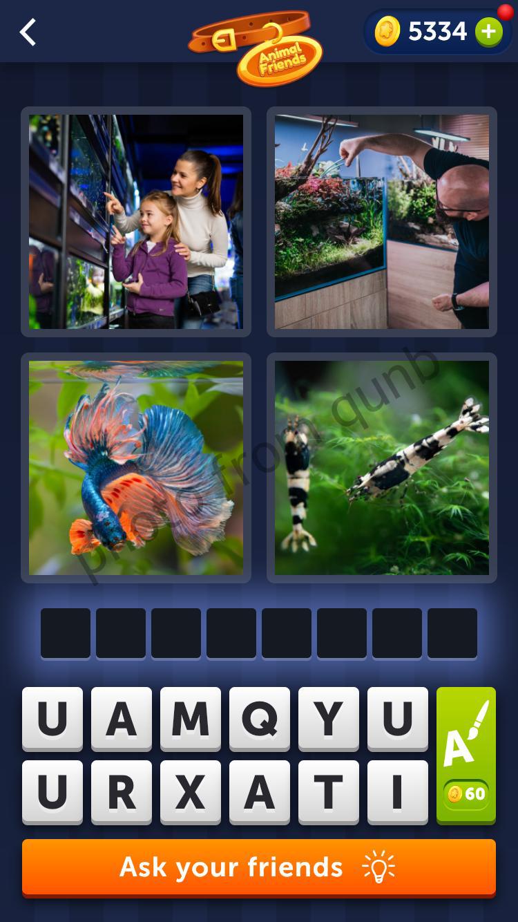 4 Pics 1 Word Daily Bonus Puzzle February 13 2022 Qunb