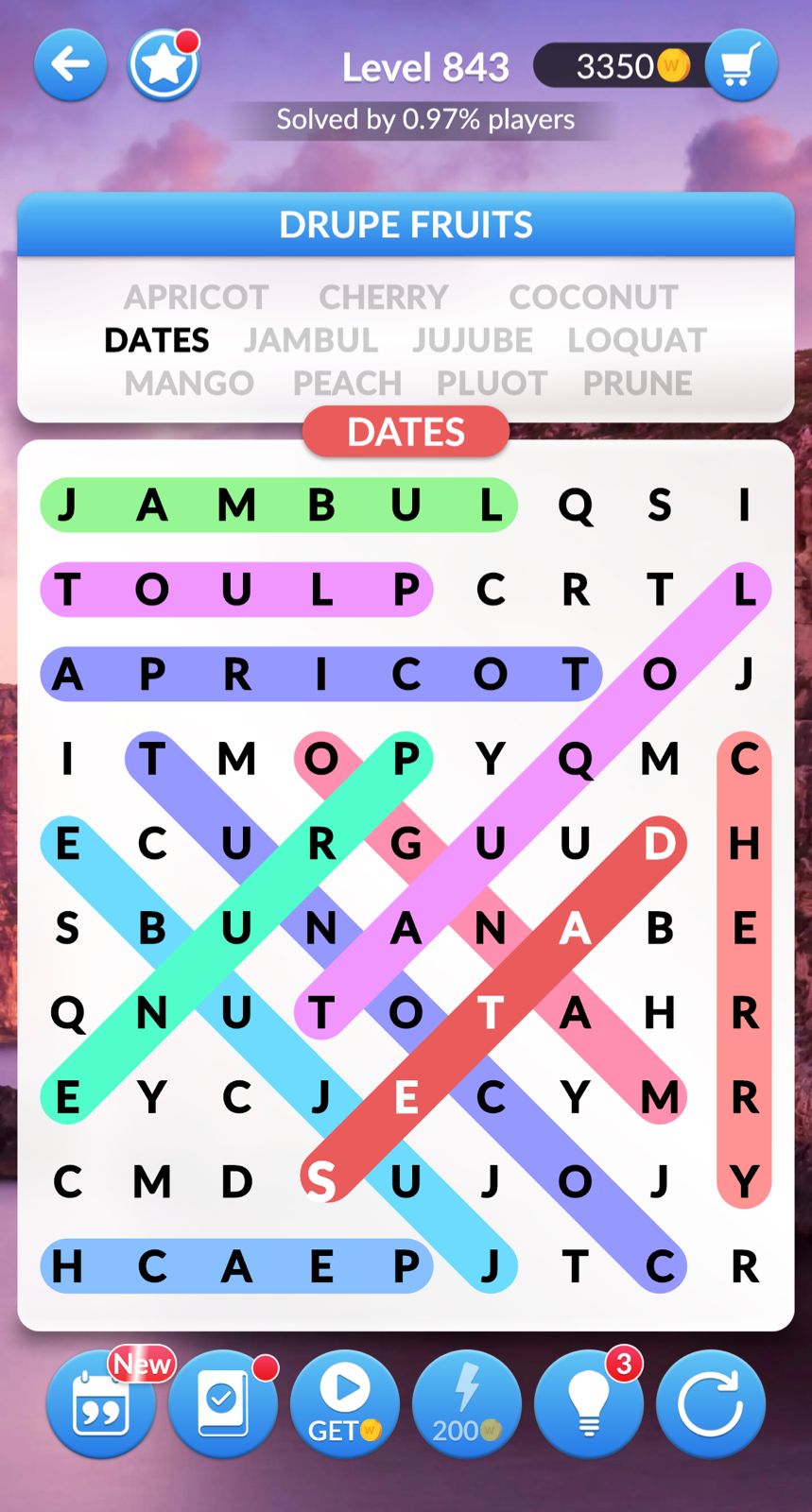 Word Search Explorer Level 843