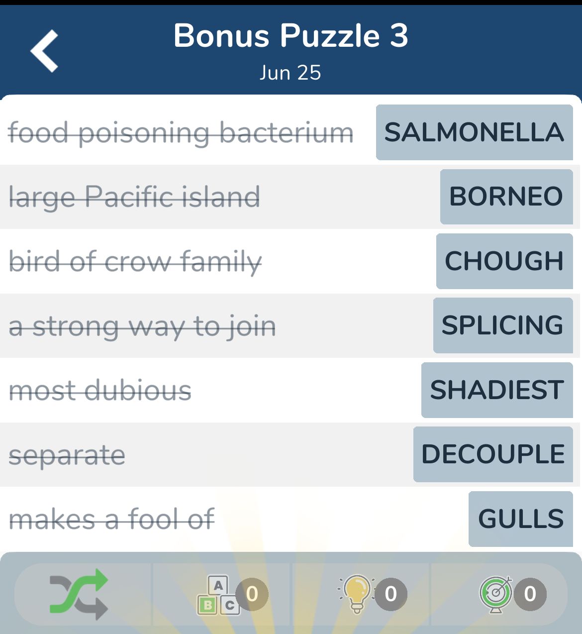 7 Little Words June 25 2024 Bonus 3
