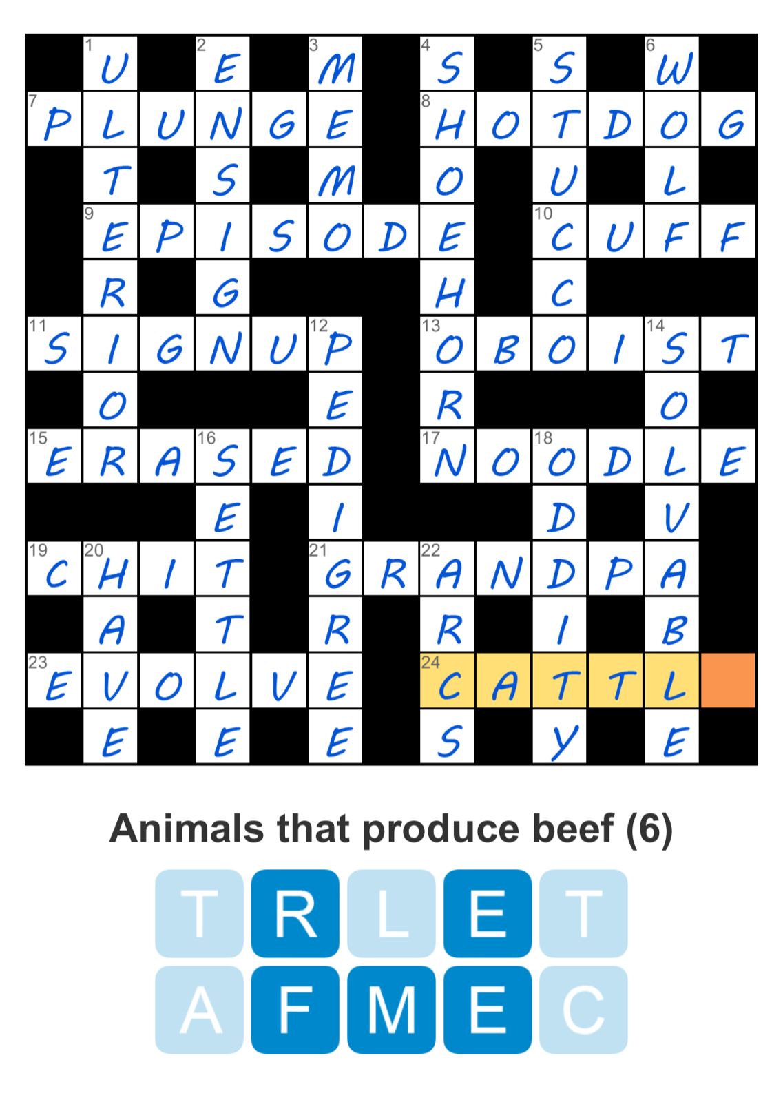 Puzzle Page Challenger August 25 2024