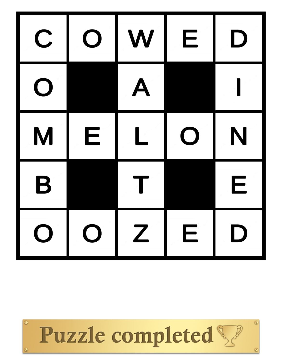 Puzzle Page Cross Out August 12 2024