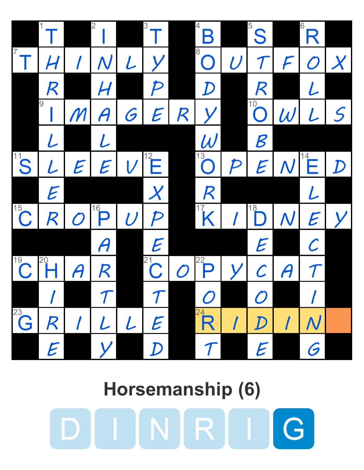 Puzzle Page Challenger November 10 2024
