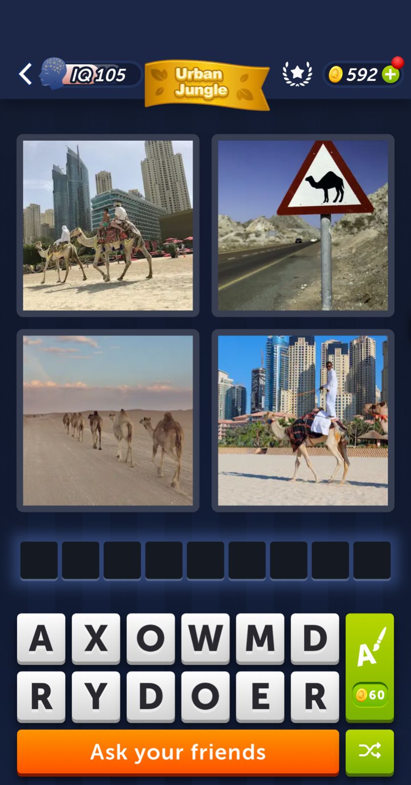 Camels in urban and desert environments