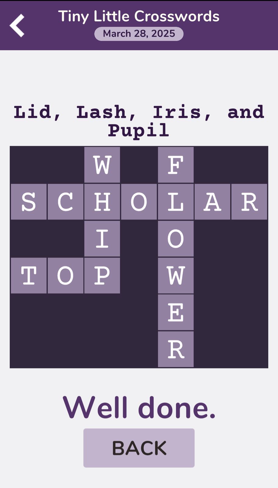 7 Little Words Tiny Little Crosswords March 28 2025