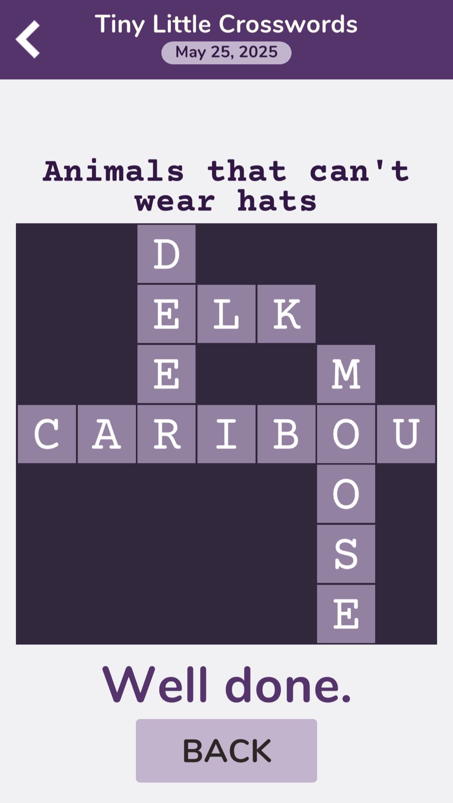 7 Little Words Tiny Little Crosswords May 25 2025