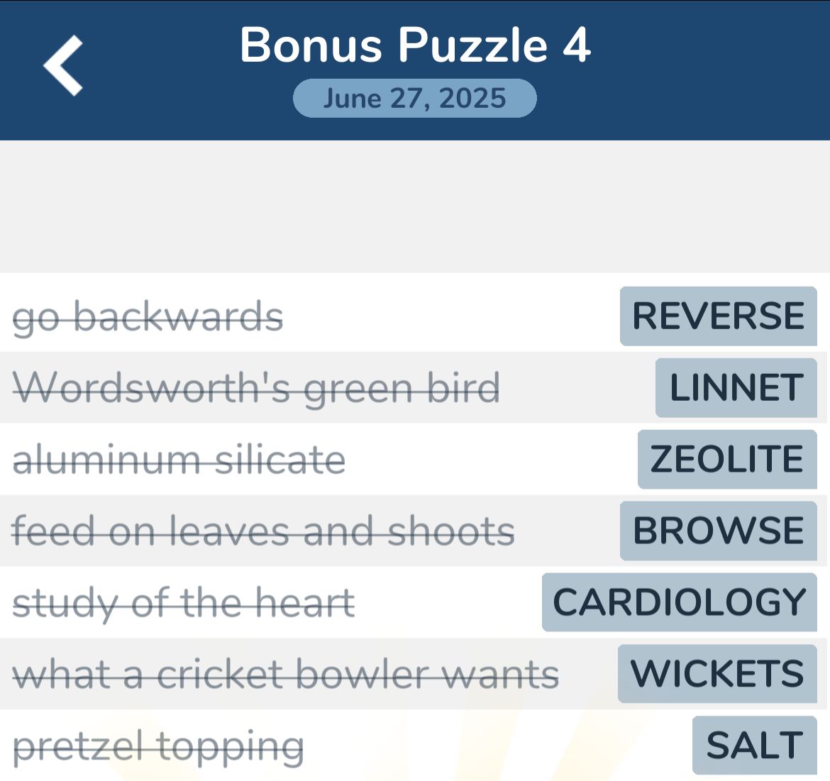 7 Little Words June 27 2025 Bonus 4