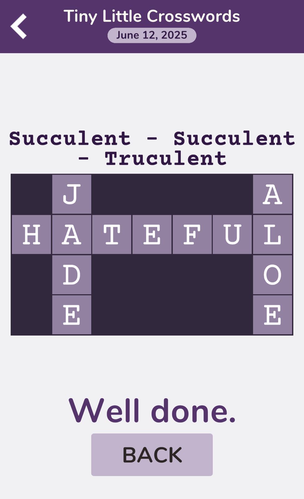 7 Little Words Tiny Little Crosswords June 12 2025