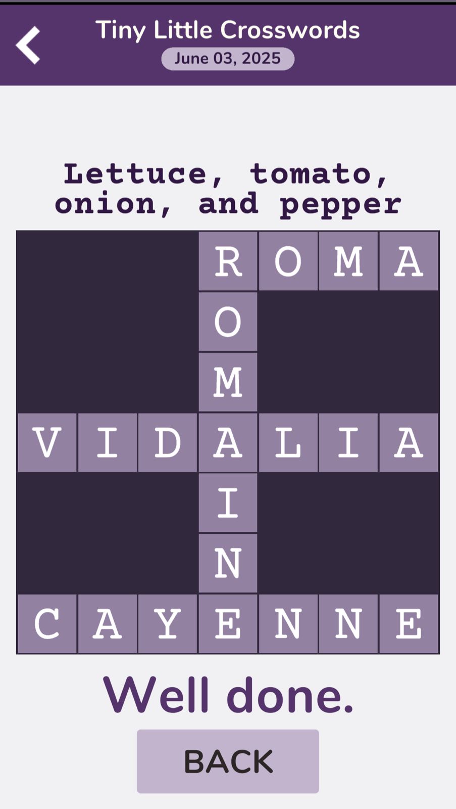 7 Little Words Tiny Little Crosswords June 3 2025