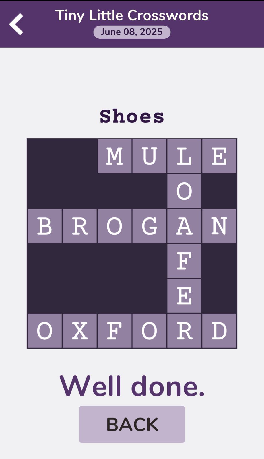7 Little Words Tiny Little Crosswords June 8 2025