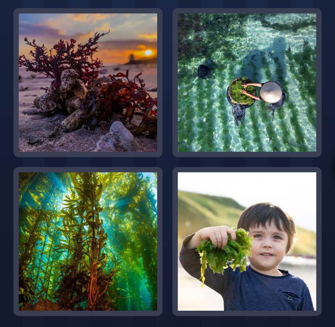 4 Pics 1 Word Daily Bonus Puzzle July 11 2025 4 Pics 1 Word Daily Bonus Puzzle July 11 2025