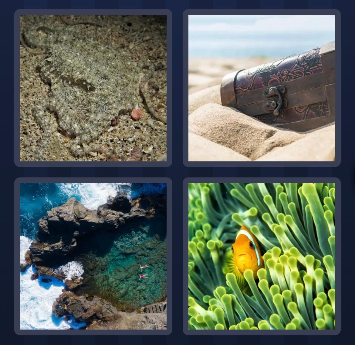 4 Pics 1 Word Daily Bonus Puzzle July 13 2025
