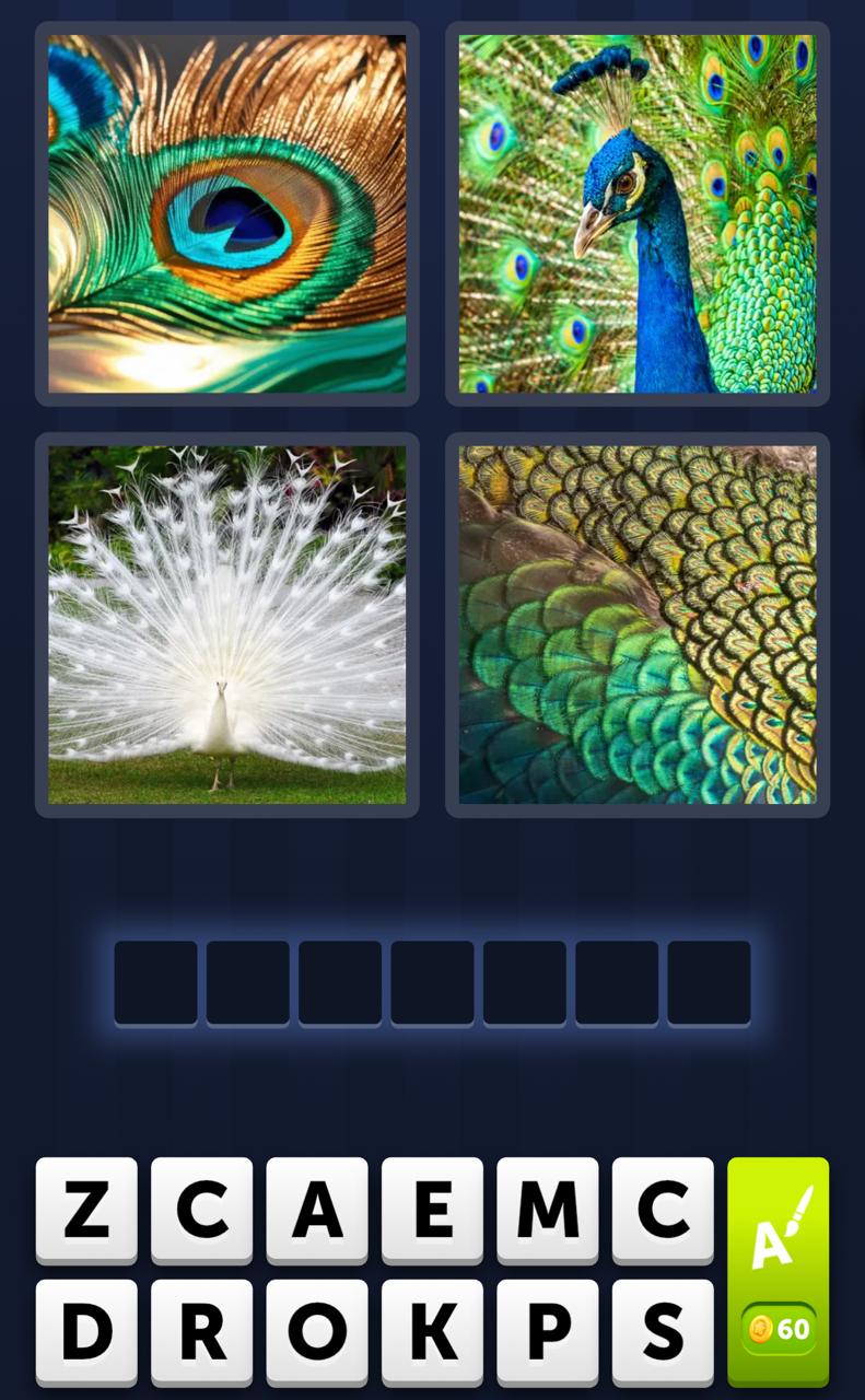 4 Pics 1 Word Daily Bonus Puzzle August 11 2025