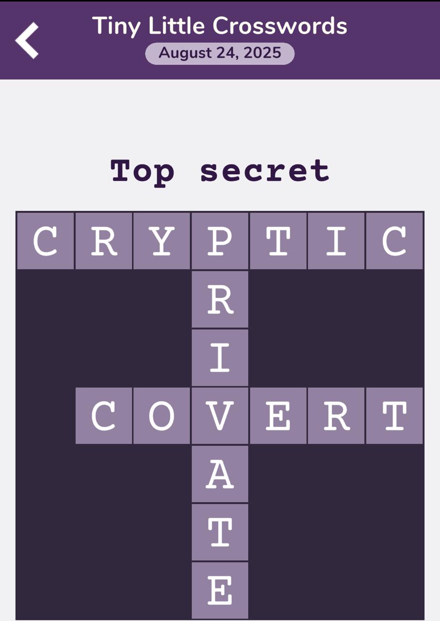 7 Little Words Tiny Little Crosswords August 24 2025
