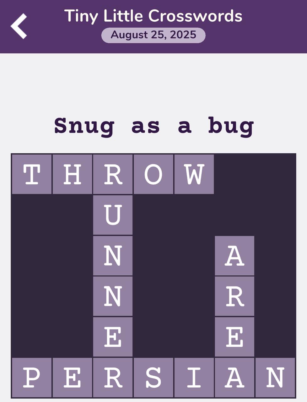 7 Little Words Tiny Little Crosswords August 25 2025