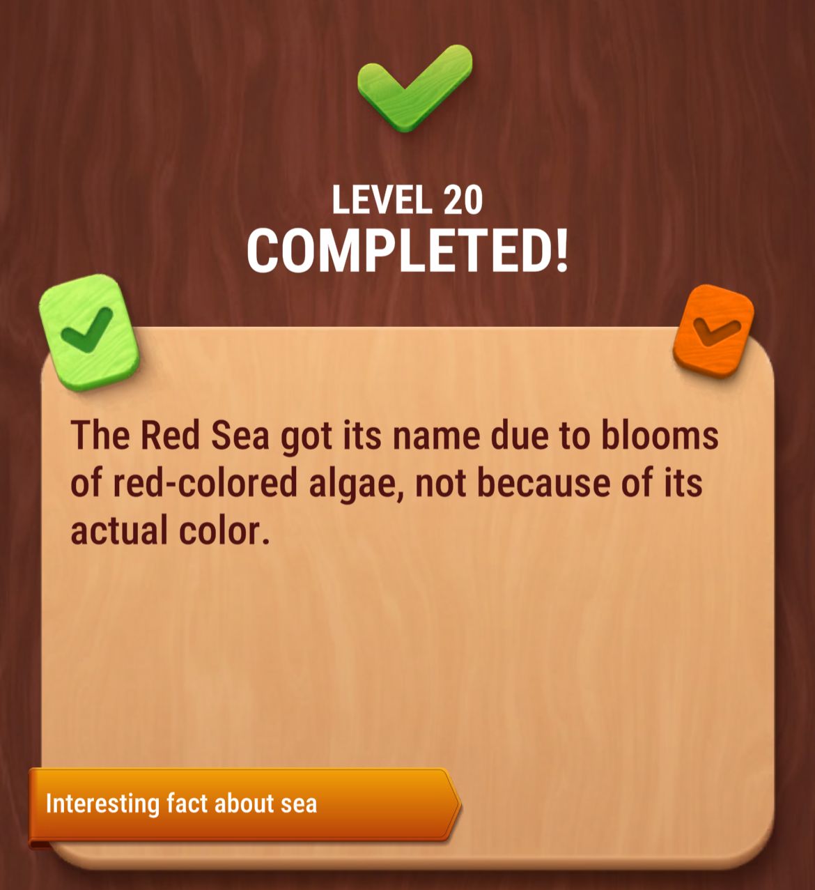 Colorwood Words Level 20