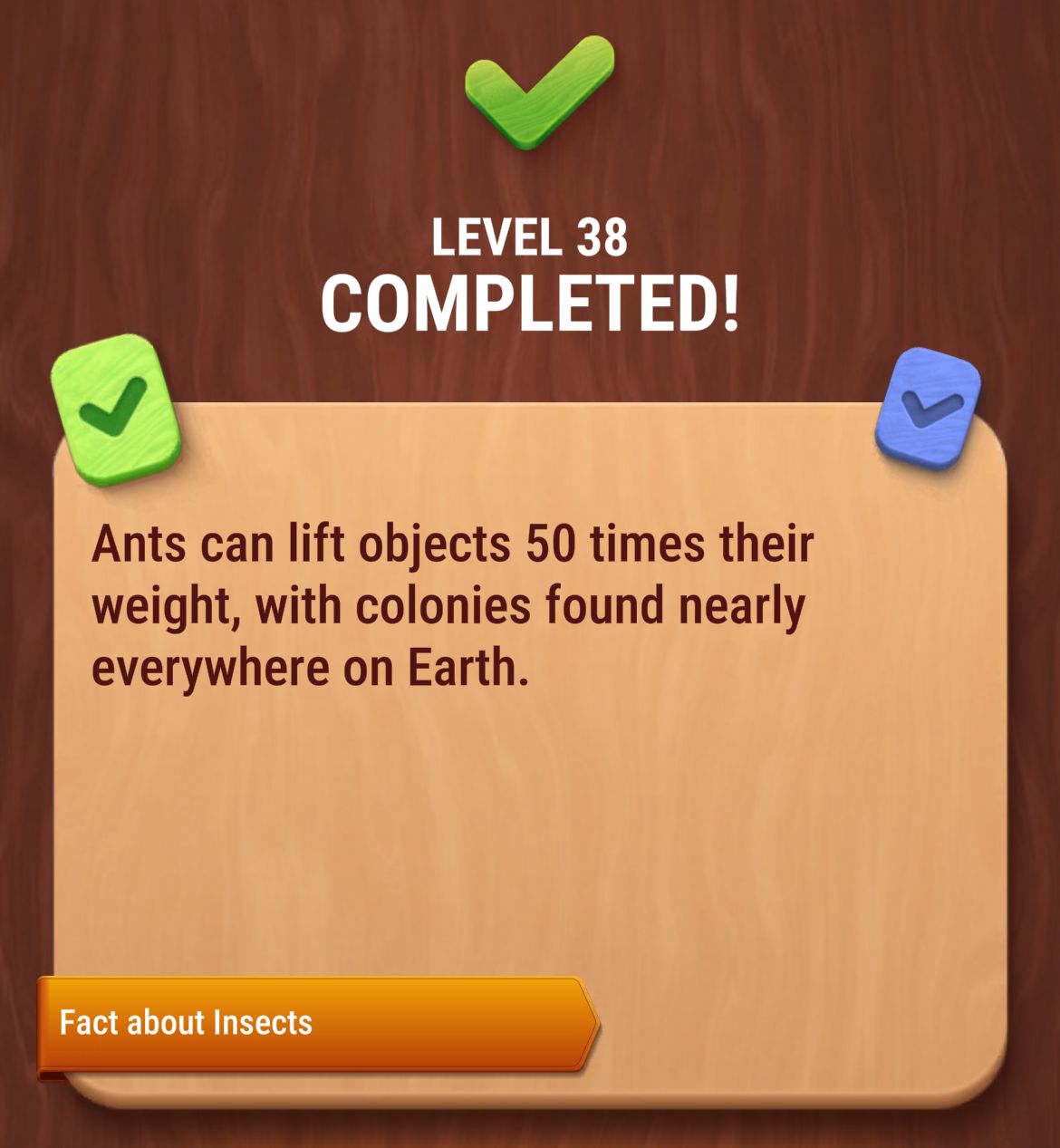 Colorwood Words Level 38