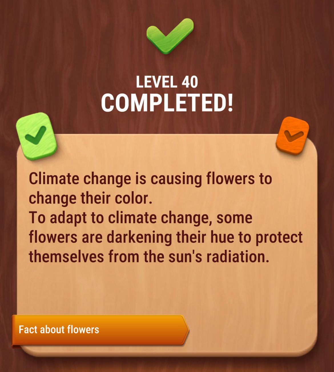 Colorwood Words Level 40