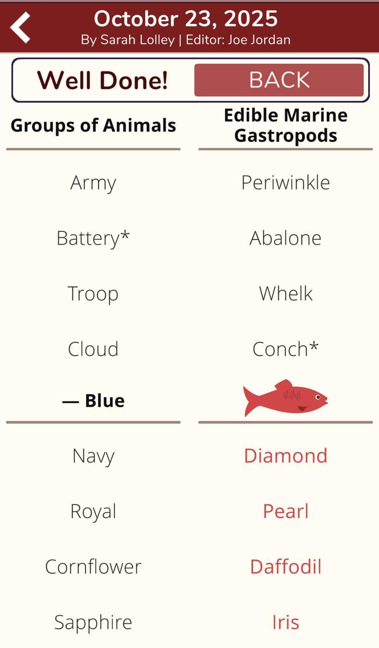 7 Little Words Red Herring October 23 2025