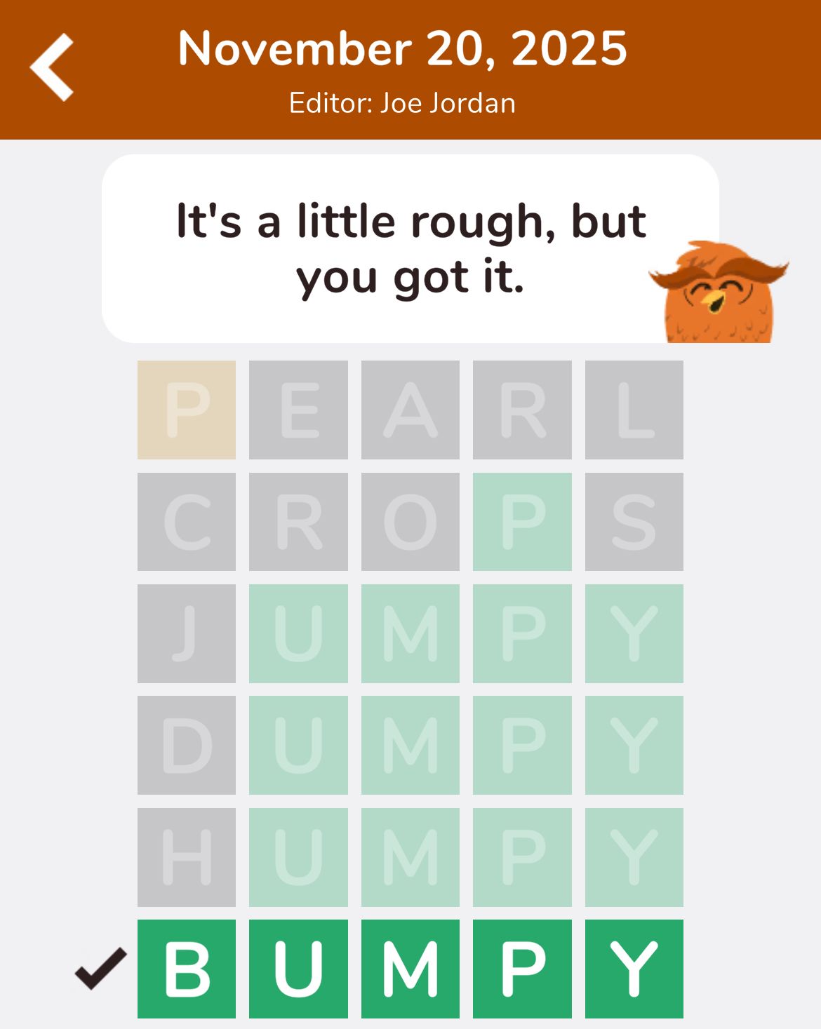 7 Little Words Hootle November 20 2025