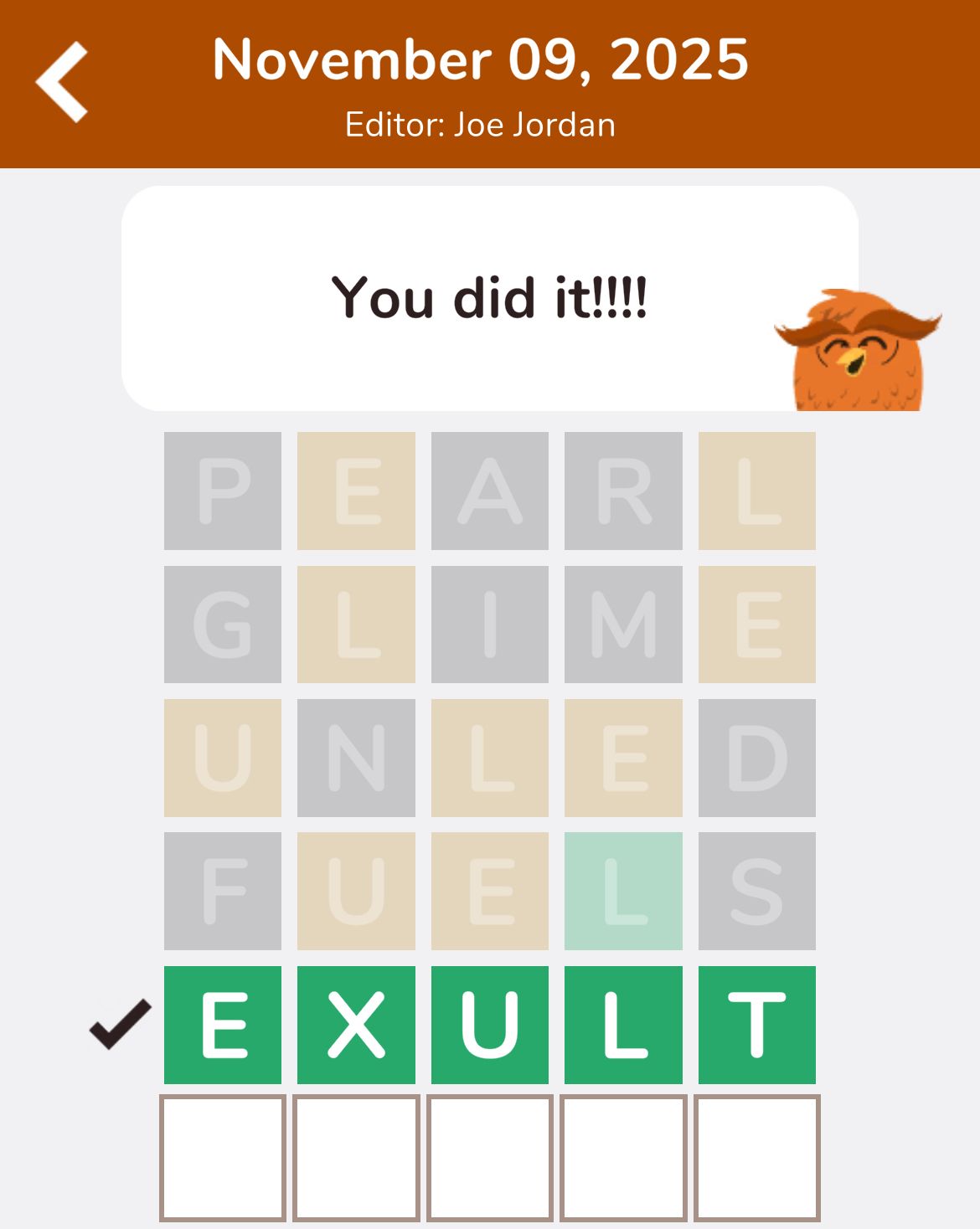 7 Little Words Hootle November 9 2025