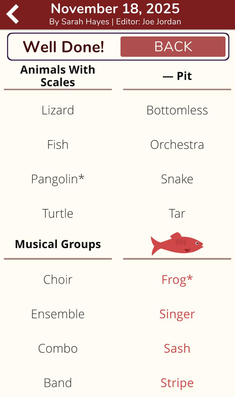 7 Little Words Red Herring November 18 2025