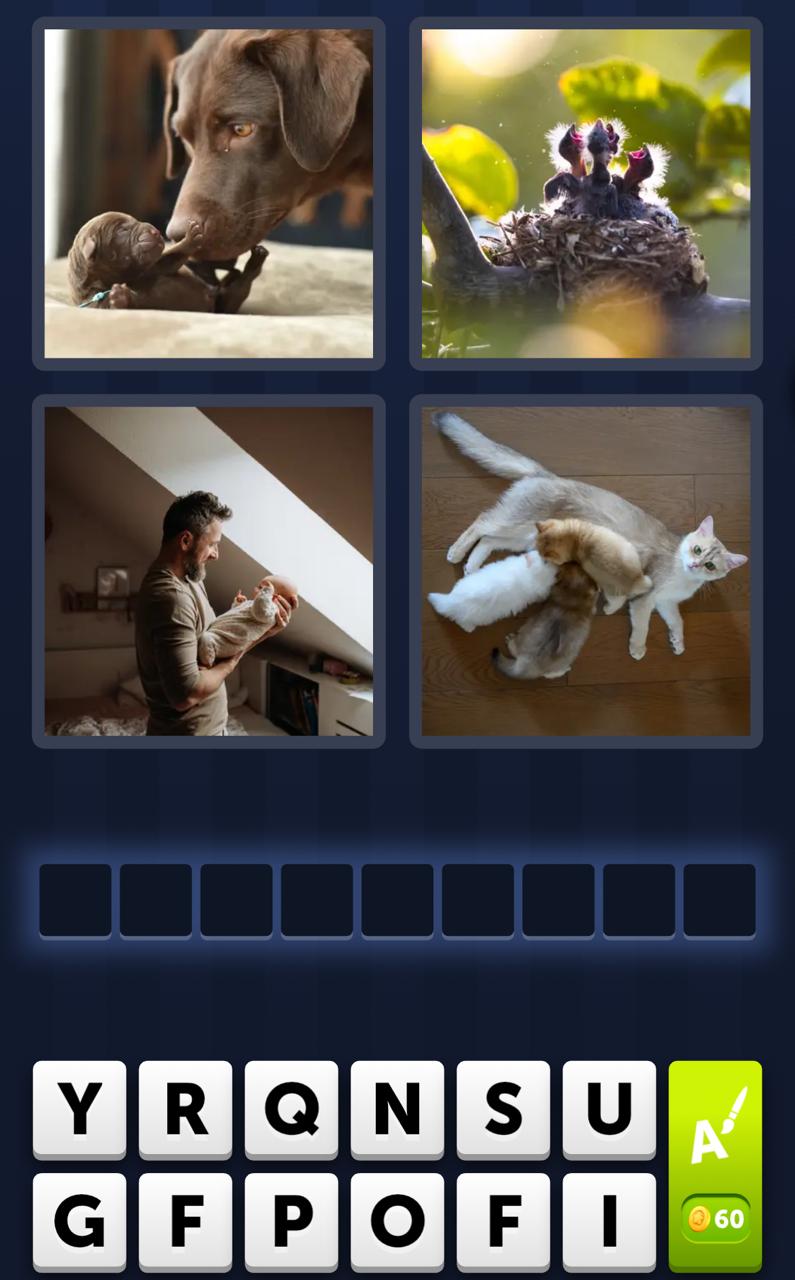 4 Pics 1 Word Daily Bonus Puzzle January 28 2026 4 Pics 1 Word Daily Bonus Puzzle January 28 2026