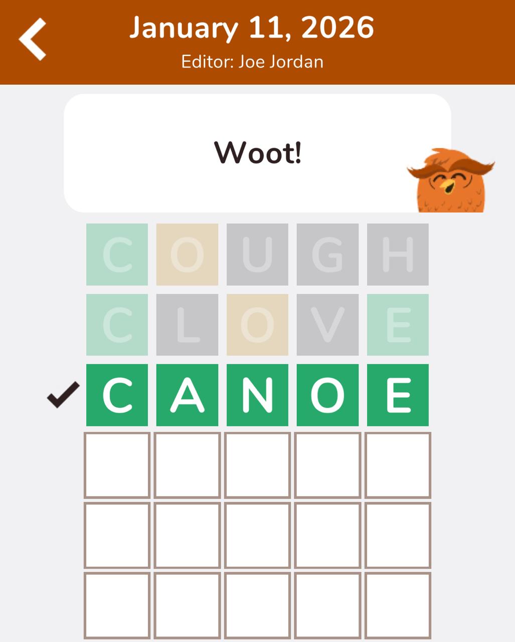 7 Little Words Hootle January 11 2026