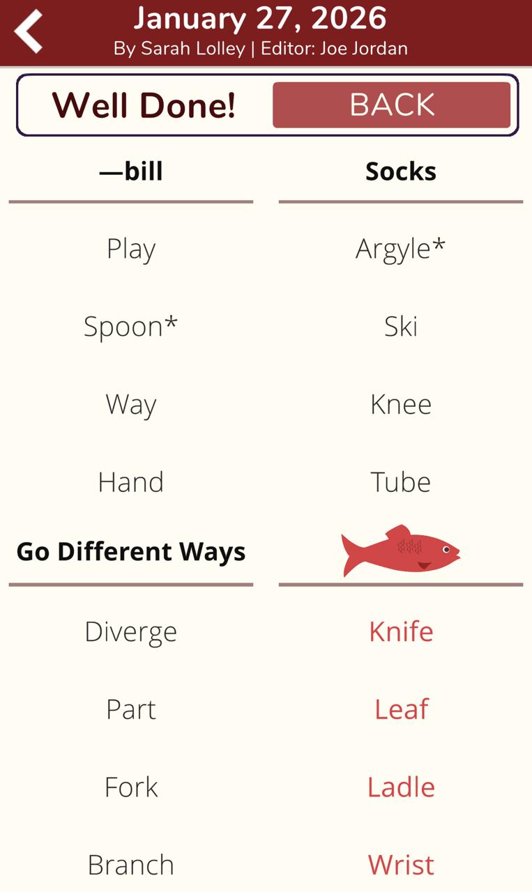 7 Little Words Red Herring January 27 2026