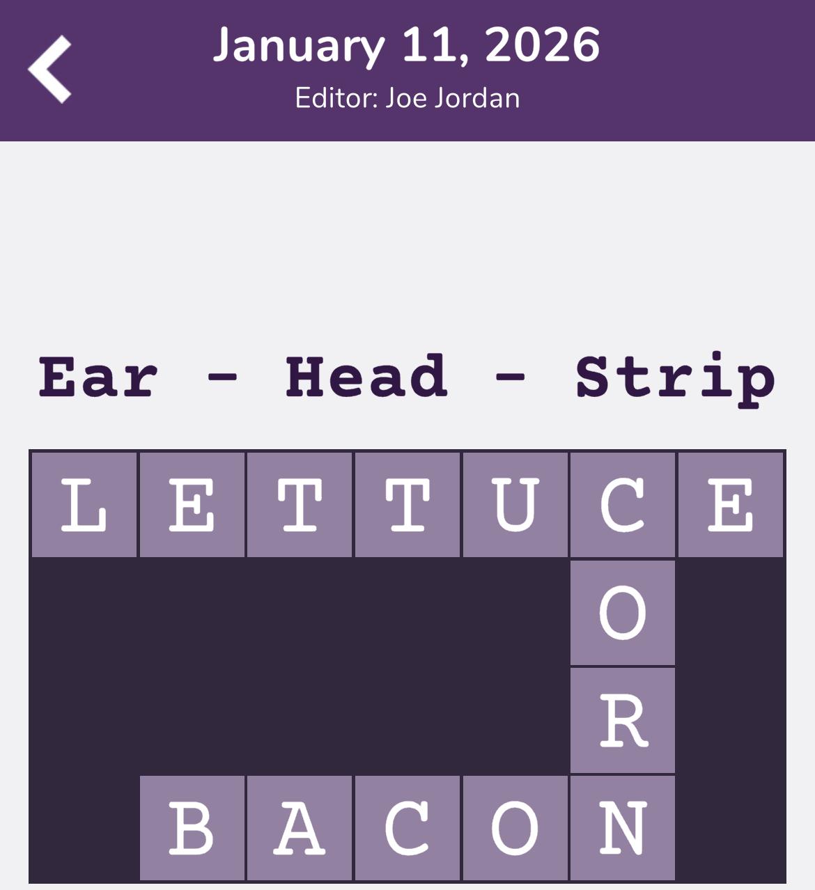 7 Little Words Tiny Little Crosswords January 11 2026