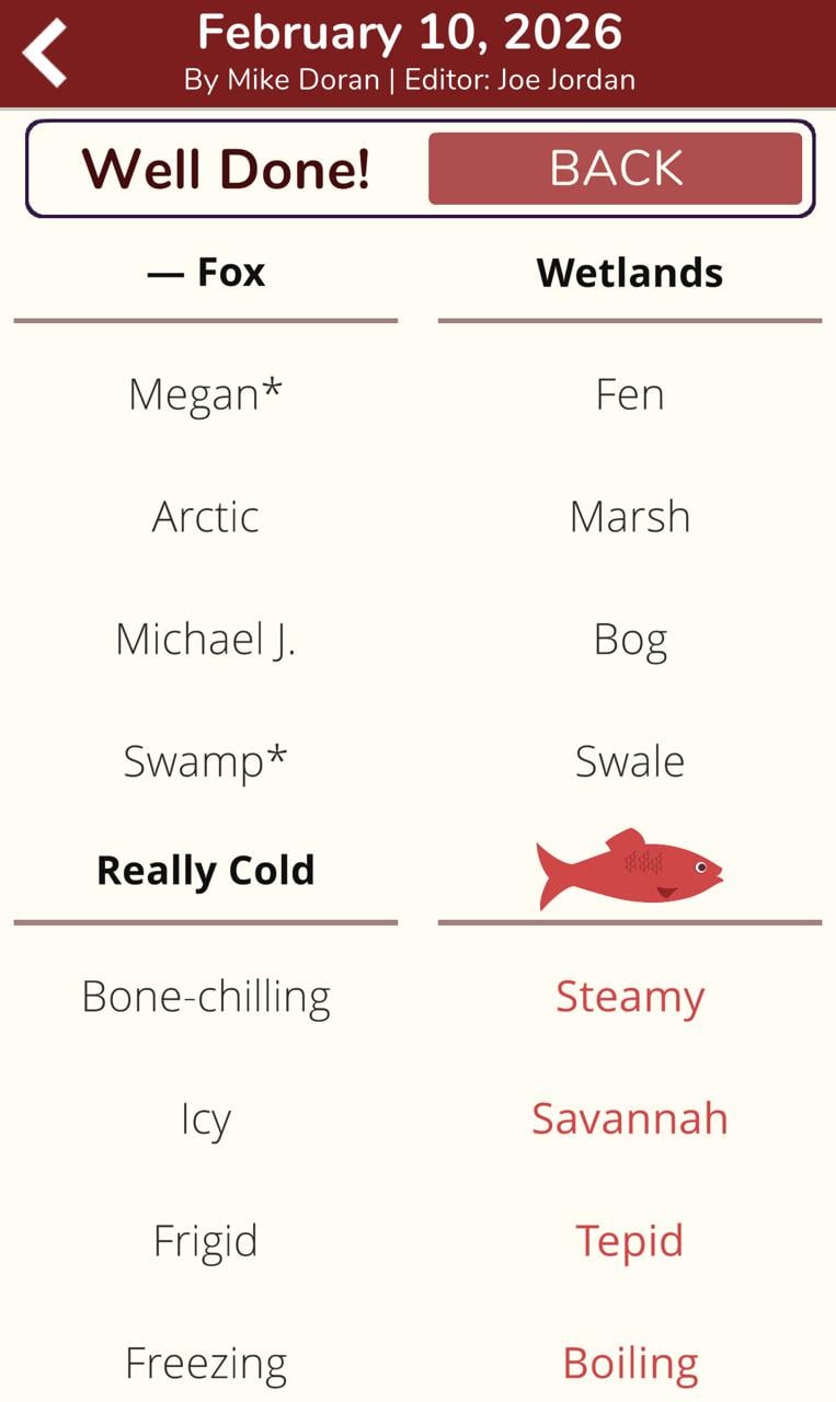 7 Little Words Red Herring February 10 2026