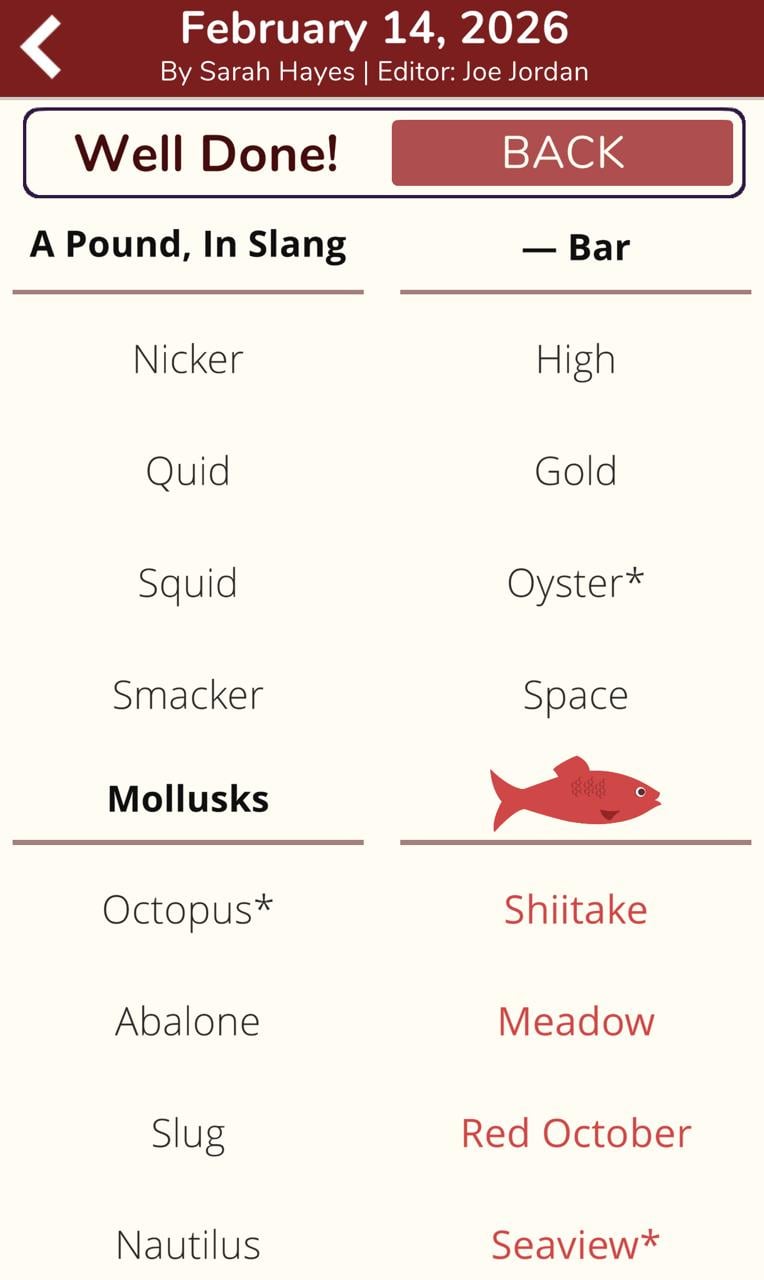 7 Little Words Red Herring February 14 2026