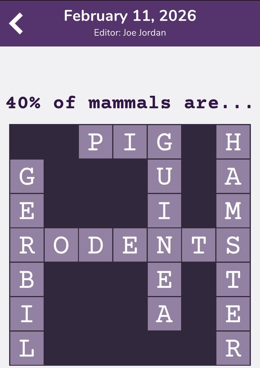 7 Little Words Tiny Little Crosswords February 11 2026