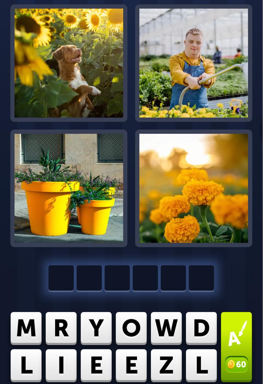 4 Pics 1 Word Daily Bonus Puzzle April 6 2026 4 Pics 1 Word Daily Bonus Puzzle April 6 2026