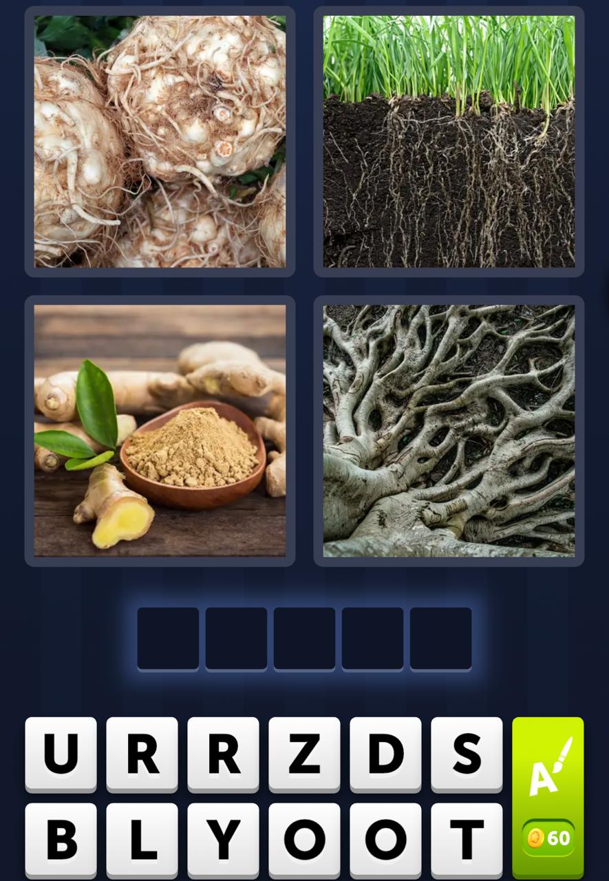 4 Pics 1 Word Daily Puzzle April 19 2026