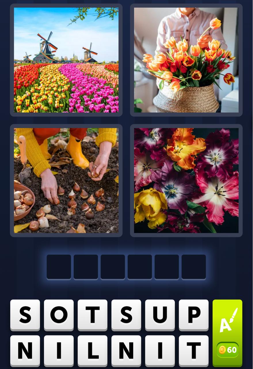 4 Pics 1 Word Daily Puzzle April 21 2026