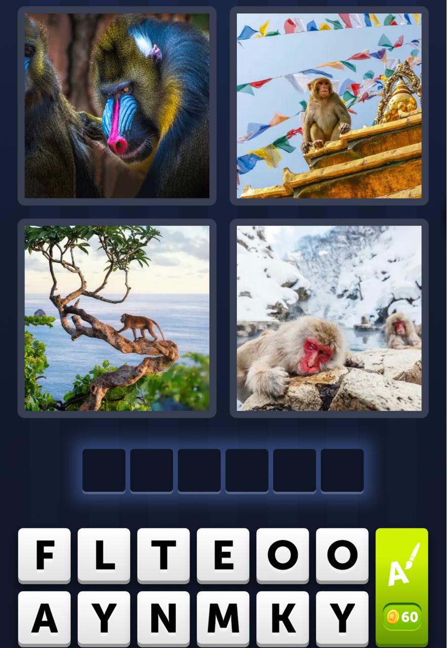 4 Pics 1 Word Daily Puzzle April 23 2026
