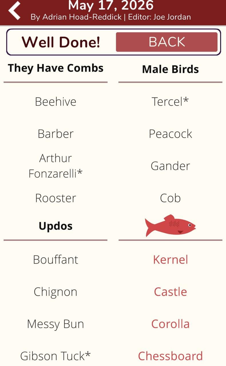7 Little Words Red Herring May 17 2026 7 Little Words Red Herring May 17 2026